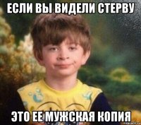 если вы видели стерву это ее мужская копия