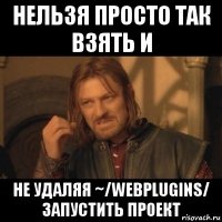 нельзя просто так взять и не удаляя ~/webplugins/ запустить проект