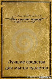 Как я провел армию Лучшие средства для мытья туалетов