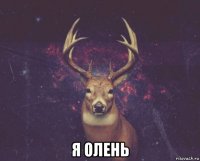  я олень