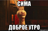 сима доброе утро