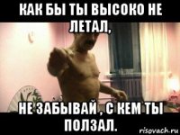 как бы ты высоко не летал, не забывай , с кем ты ползал.