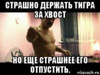 страшно держать тигра за хвост но еще страшнее его отпустить.