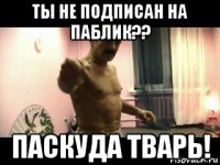 ты не подписан на паблик?? паскуда тварь!