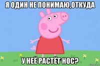 я один не понимаю,откуда у неё растёт нос?