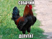 собачий депутат