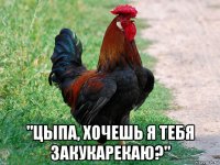  "цыпа, хочешь я тебя закукарекаю?"