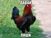 давай пиши