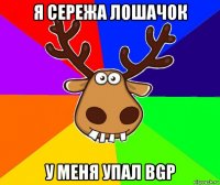 я сережа лошачок у меня упал bgp