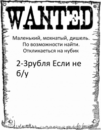 Маленький, мохнатый, дишель.
По возможности найти. Откликаеться на нубик 2-3рубля Если не б/у