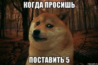 когда просишь поставить 5