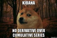 kibana no derivative over cumulative series