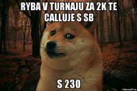 ryba v turnaju za 2k te calluje s sb s 23o