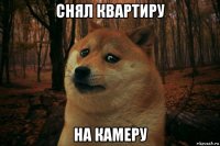 снял квартиру на камеру