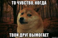 то чувство, когда твой друг вымогает