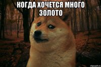 когда хочется много золото 