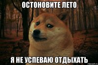 остоновите лето я не успеваю отдыхать