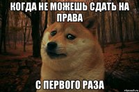 когда не можешь сдать на права с первого раза