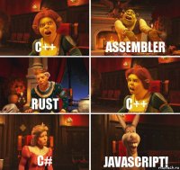 C++ Assembler Rust C++ C# Javascript!