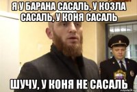 я у барана сасаль, у козла сасаль, у коня сасаль шучу, у коня не сасаль