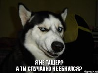 Я не тащер?
А ты случайно не ебнулся?