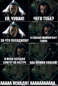 Ей, чувак! Чего тебе? За что посадили? Я сказал майнкрафт гавно И меня сегодня сожгут на костре ааа Мужик спасай! ААААА ненадо! ААААААААААА..