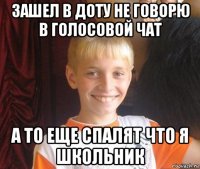 зашел в доту не говорю в голосовой чат а то еще спалят что я школьник