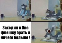 Заходил к Яне флешку брать и ничего больше !