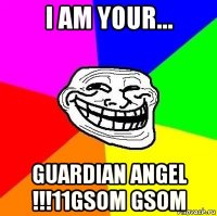 i am your... guardian angel !!!11gsom gsom