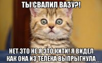 ты свалил вазу?! нет это не я это кити! я видел как она из телека выпрыгнула