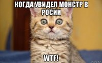 когда увидел монстр в росии wtf!