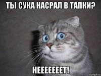 ты сука насрал в тапки? нееееееет!