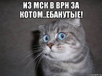 из мск в врн за котом..ебанутые! 