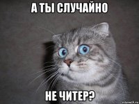 а ты случайно не читер?