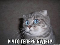  и что теперь будет?