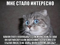 мне стало интересно какой пол у колобка? если мужской то, как он катился? если женский, то почему его съела лиса, а не заяц, волк или медведь?