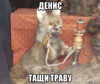 денис тащи траву