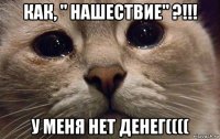 как, " нашествие" ?!!! у меня нет денег((((