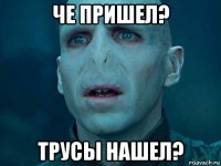 че пришел? трусы нашел?