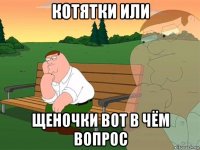 котятки или щеночки вот в чём вопрос