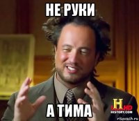 не руки а тима