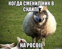 когда сменил ник в скайпе на pocoil