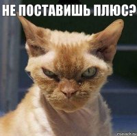 Не поставишь плюс? 