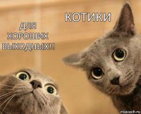 для хороших выходных!! котики