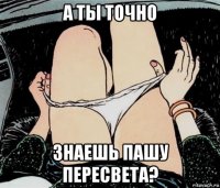 а ты точно знаешь пашу пересвета?