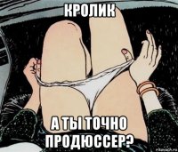 кролик а ты точно продюссер?