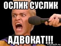 ослик суслик адвокат!!!