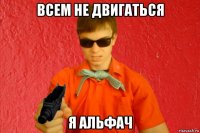 всем не двигаться я альфач