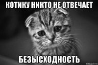 котику никто не отвечает безысходность