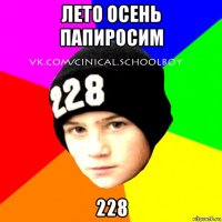 лето осень папиросим 228